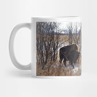 Colorado Buffalo Mug